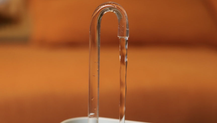 H2OnlyPet Fountain